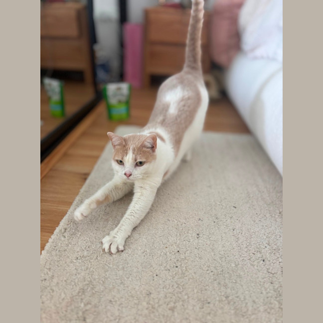Photo of Latte