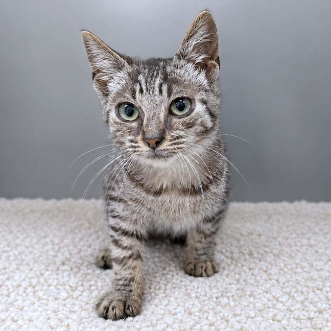 Photo of Monty