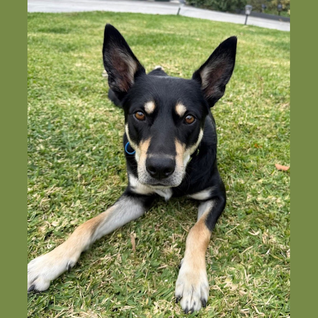 Photo of Spencer