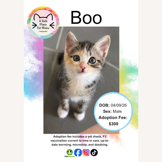 Photo of Boo