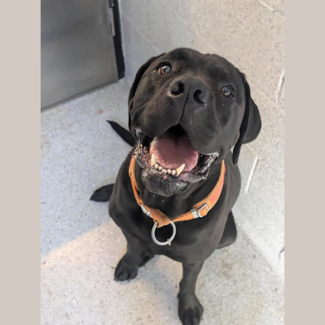 Photo of 🐞 Stevie 6855 🐞