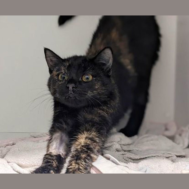 Photo of Kiki