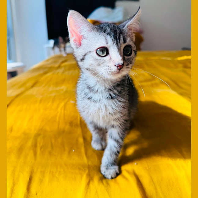 Photo of Twinkles 🌟