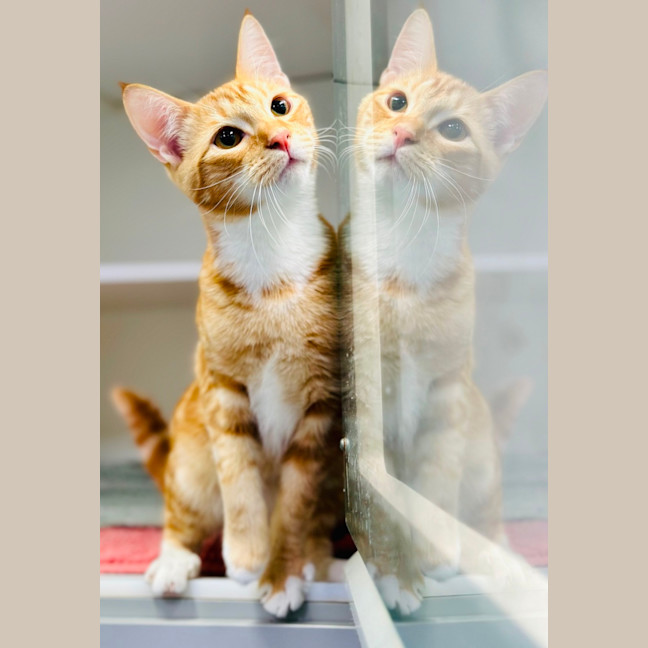 Photo of Elfie And Zorra 