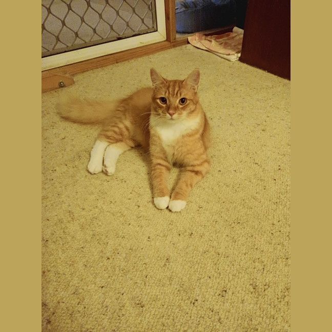 Photo of Charlie 