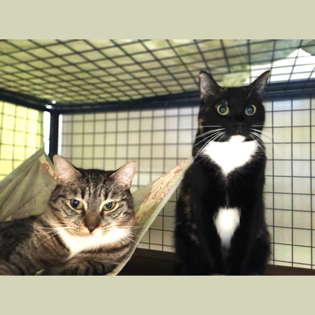 Photo of Prue & Trude