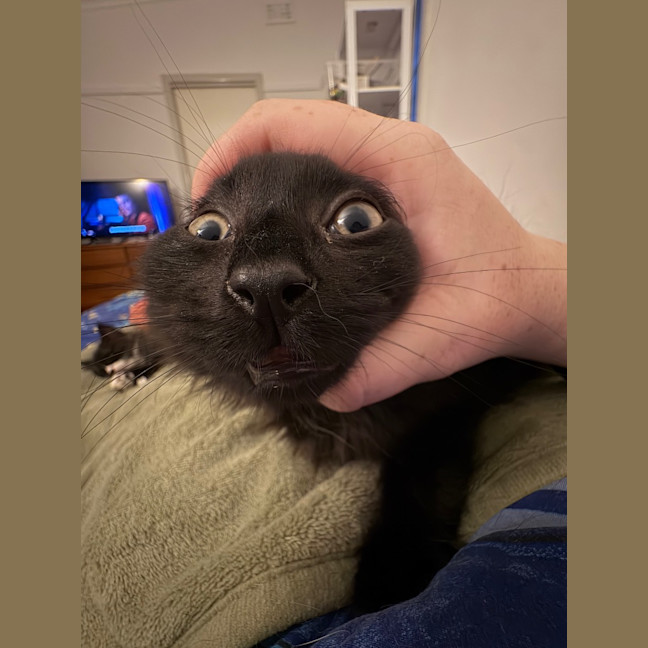 Photo of Tylenol Aka Ty