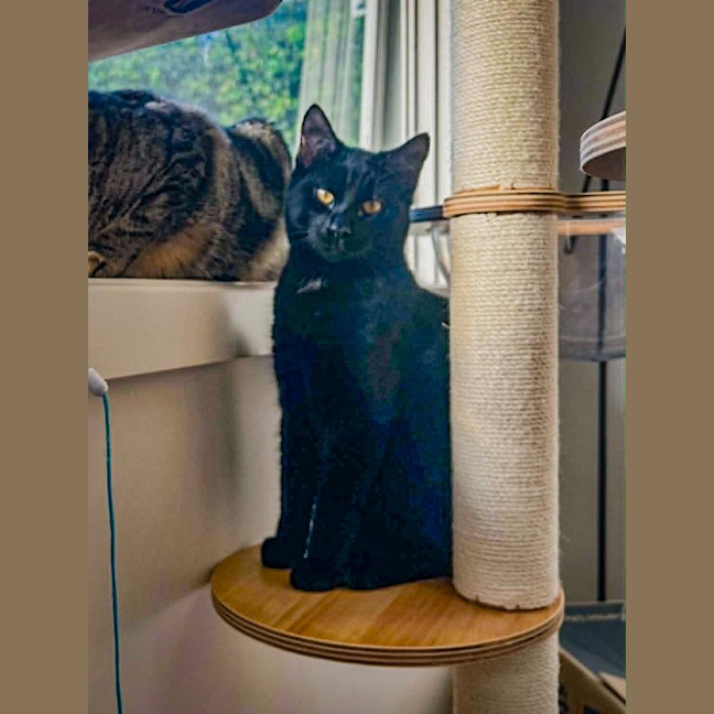 Photo of Bruce