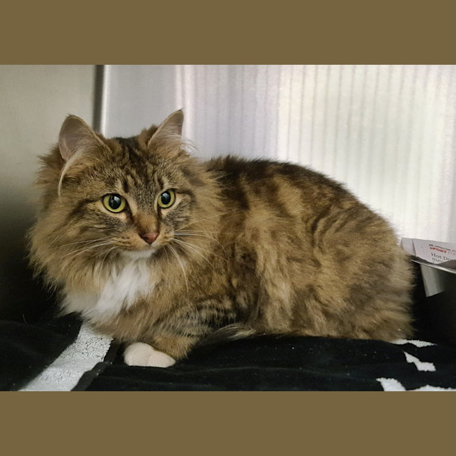 Photo of Rhaena