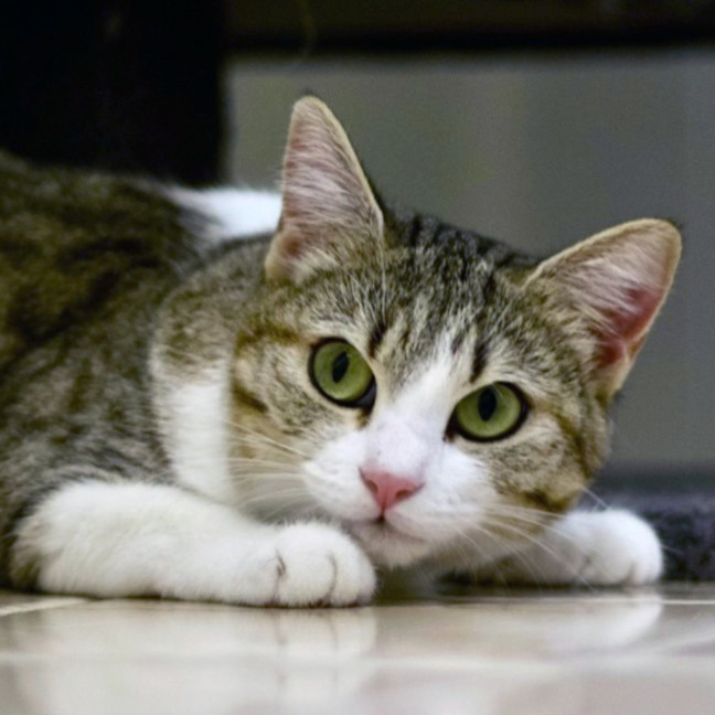 Photo of 🌷 Mia 🌷