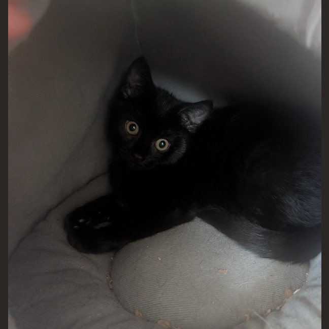 Photo of Mercury