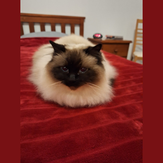 Photo of Princess Saffy