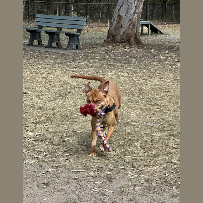 Photo of Ember