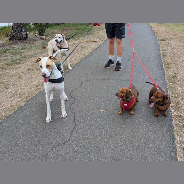 Photo of Harry / Sally