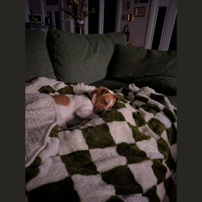 Photo of Chip Douglas