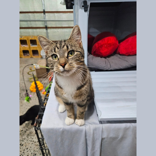 Photo of Hazel