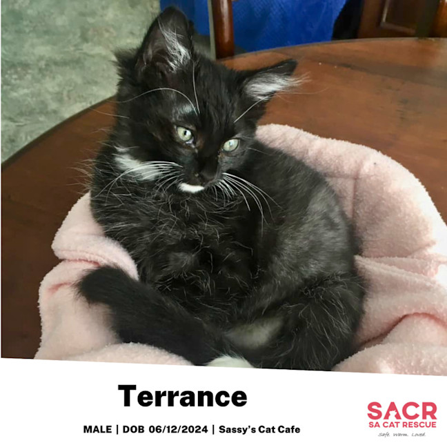 Photo of Terrance
