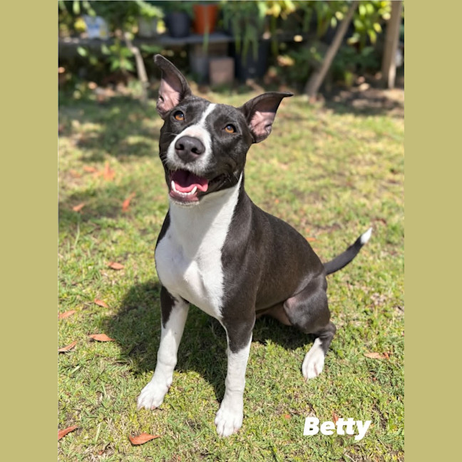 Photo of Betty