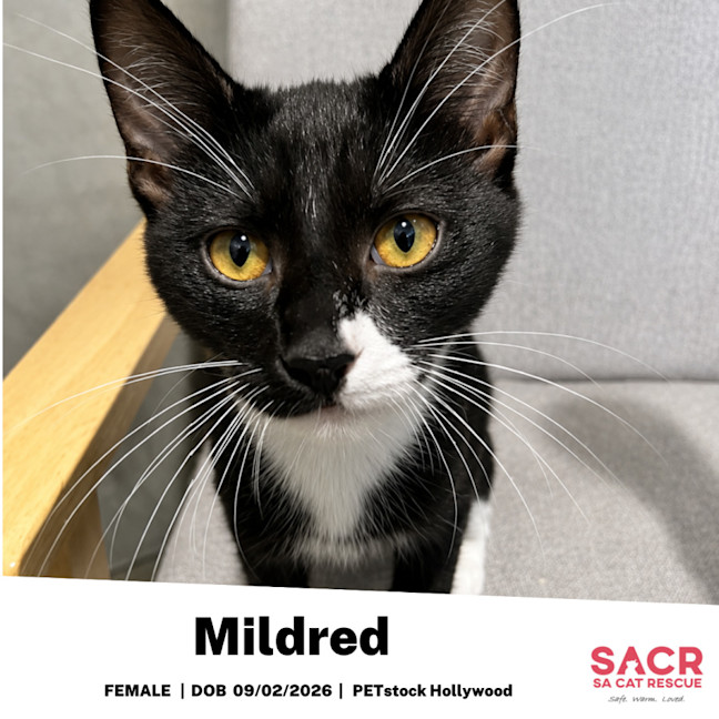 Photo of Mildred
