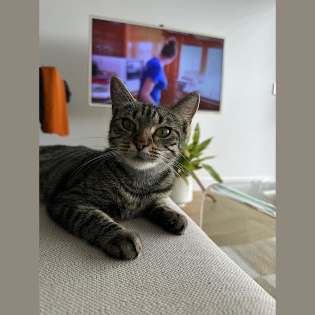 Photo of Sagittarius