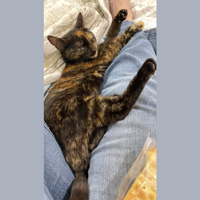 Photo of Minky