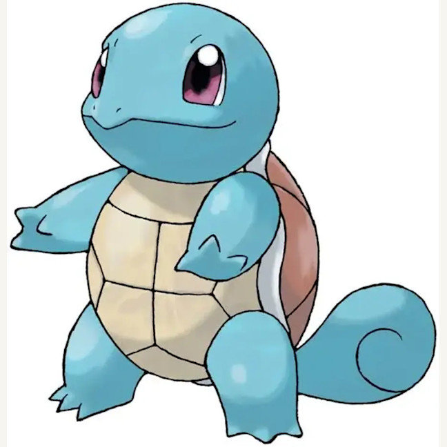 Photo of Squirtle