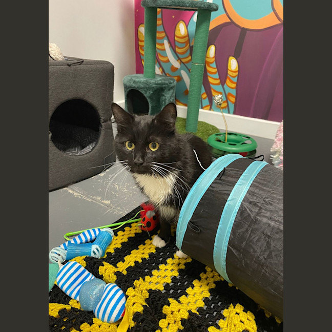 Photo of Pawl Mccatney