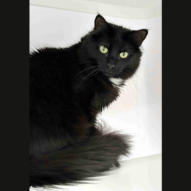 Photo of Beau Rstk012603