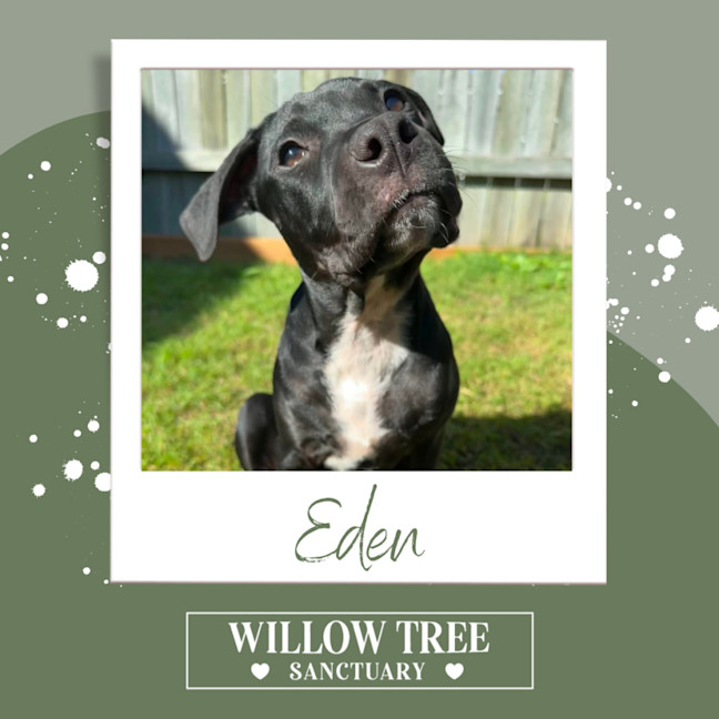 Photo of Eden