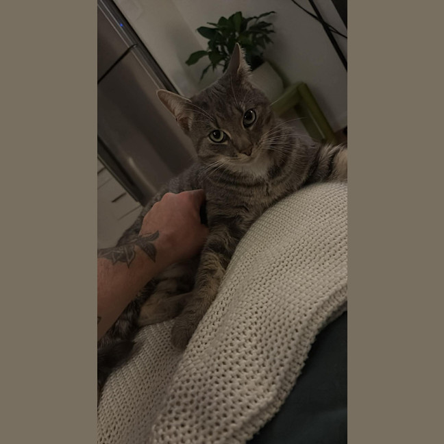 Photo of Albert 