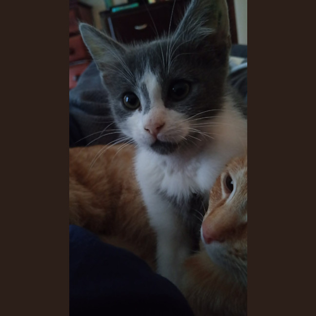 Photo of Owen