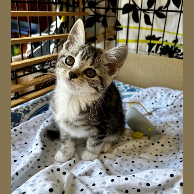 Photo of Mildred