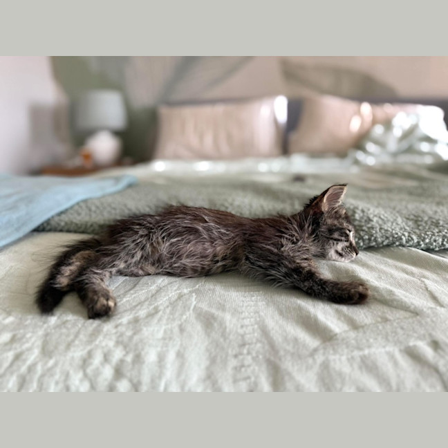Photo of Bili