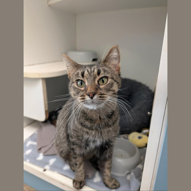 Photo of Baxter