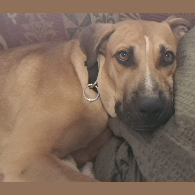 Photo of Gilderoy Lockhart