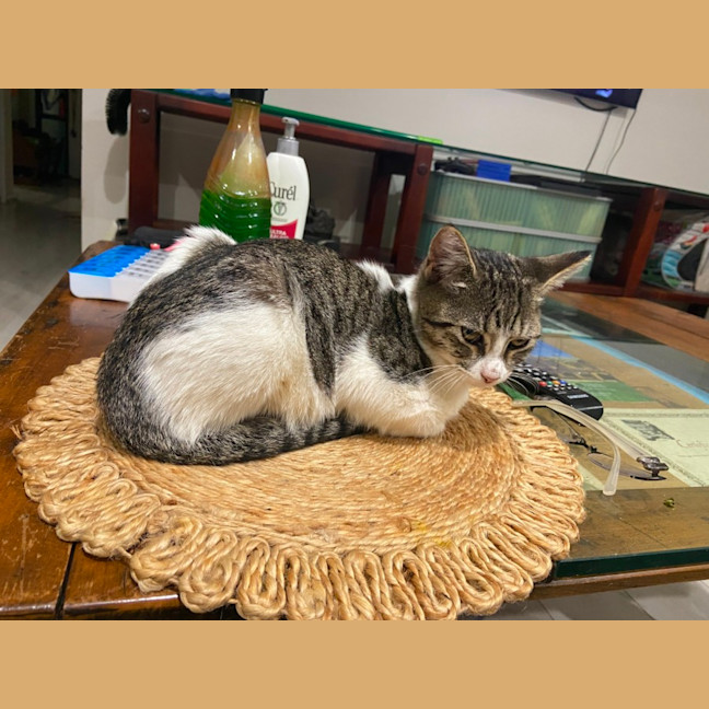 Photo of Ginny (Weasley) Of Harry Potter Fame