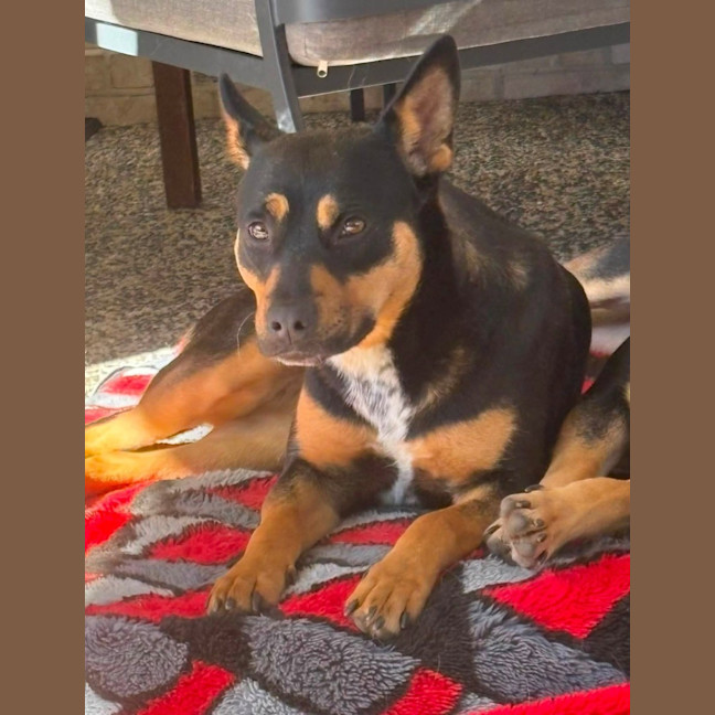 Photo of Winnie