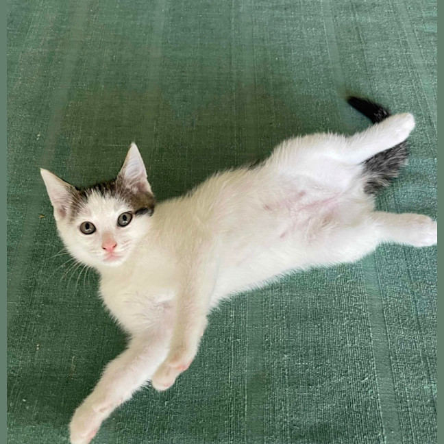 Photo of Ralph ❤️