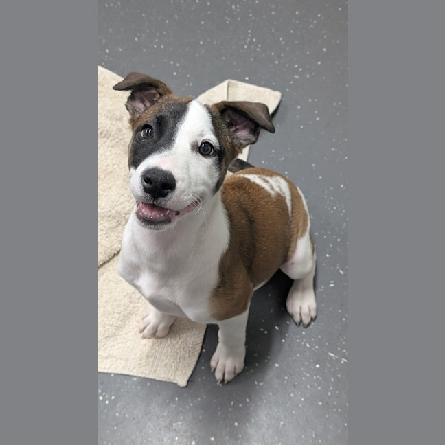 Photo of Kiah (Ex Ash)