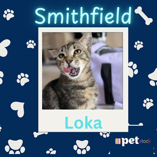 Photo of Loka