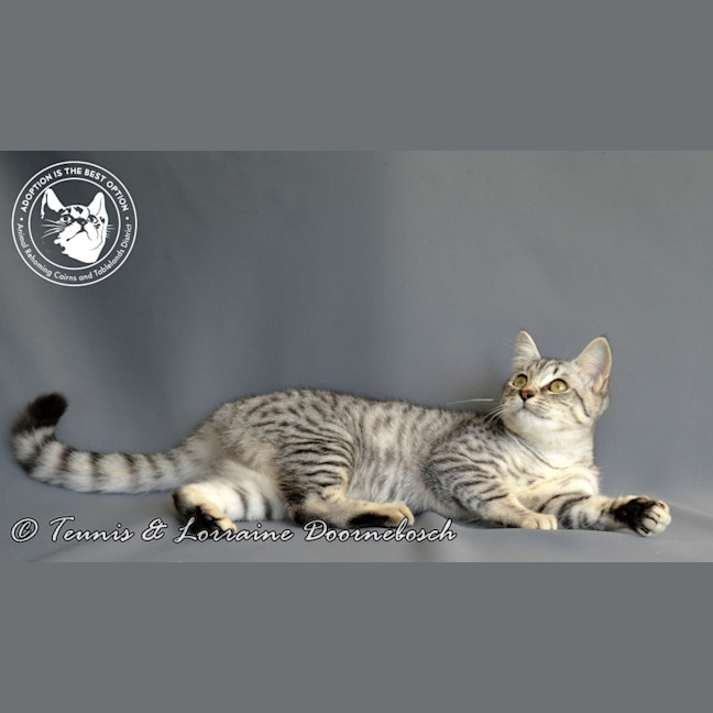 Photo of Twinkletoez