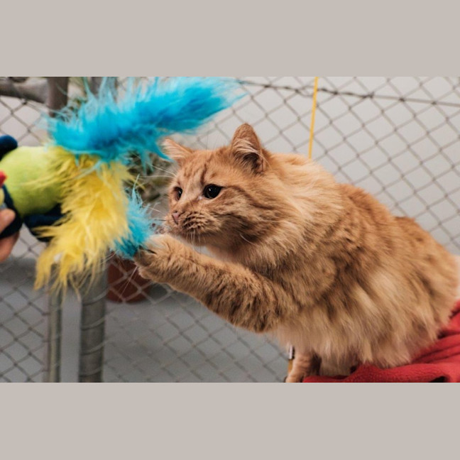 Photo of Gaston Quinnell