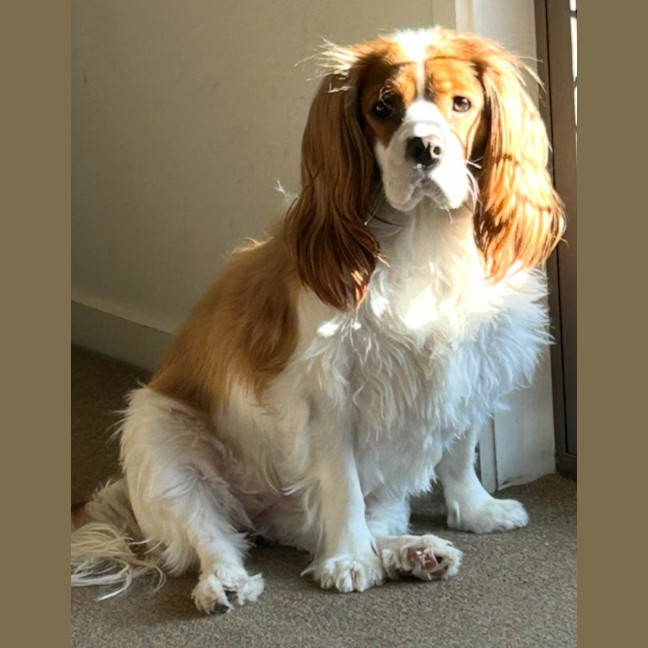 Photo of Ruby Uffelman