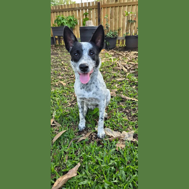 Photo of Temu