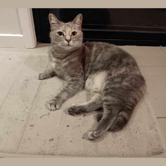 Photo of Molly