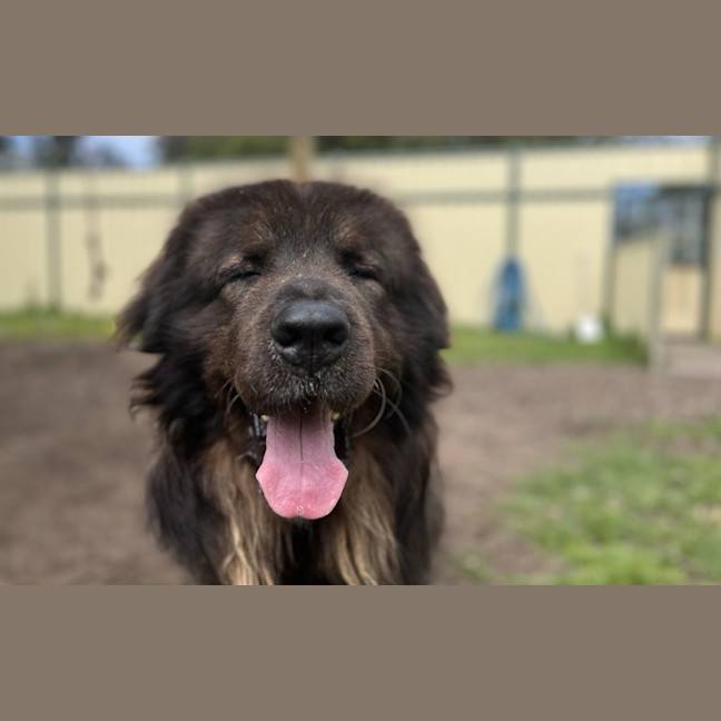 Photo of Hunter