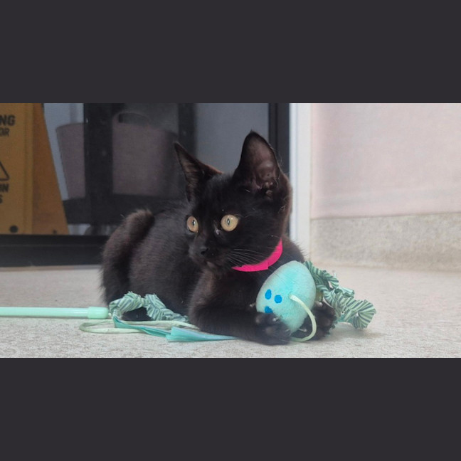 Photo of Mary (9202)