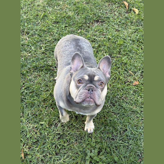 Photo of Peppa