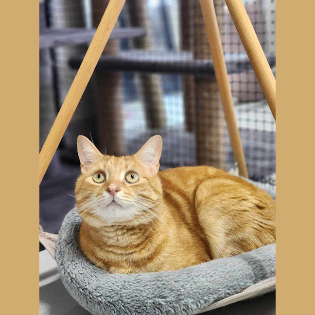 Photo of 🥝 Freddie 5515 🥝