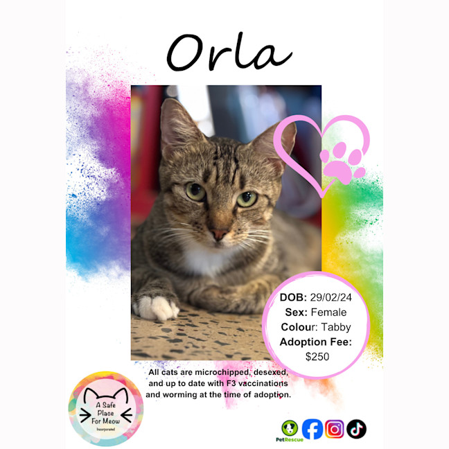 Photo of Orla